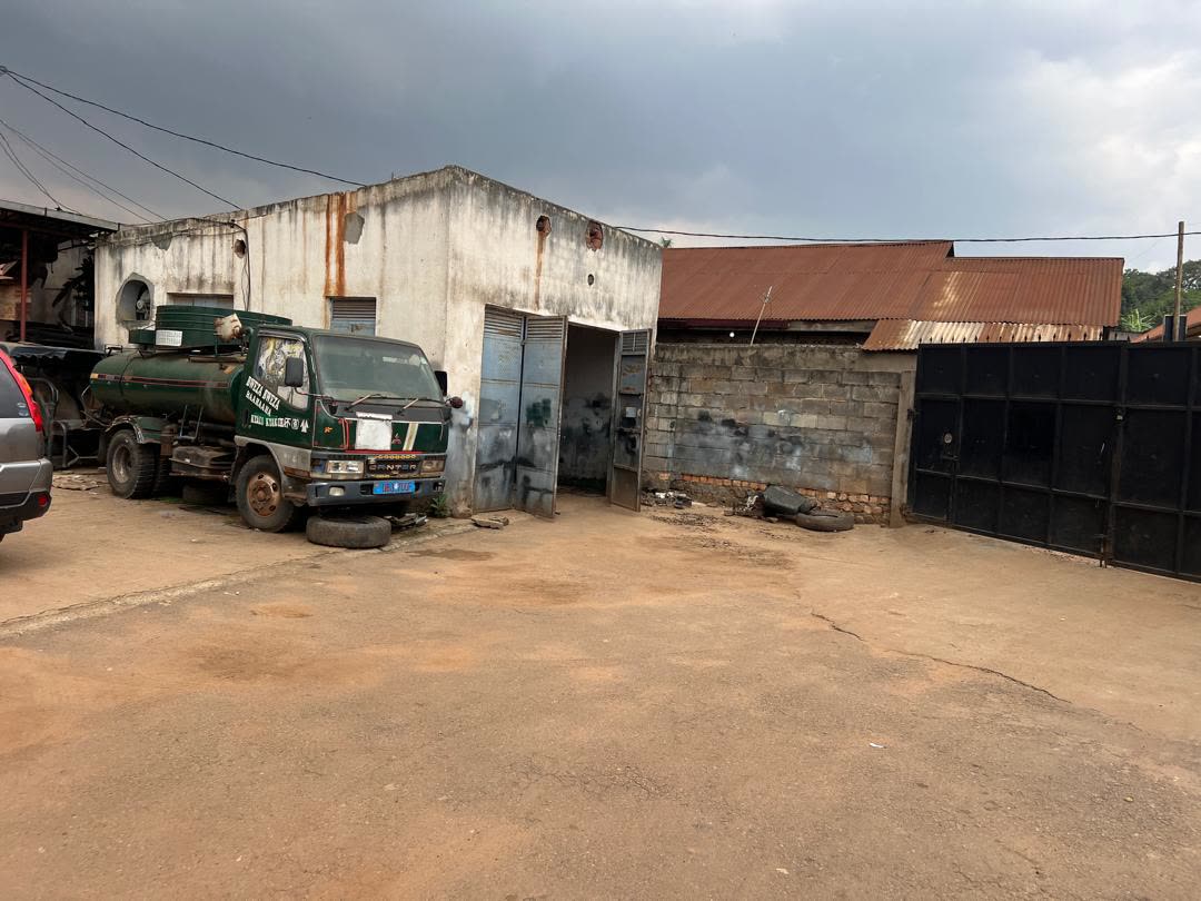 Lawrebac garage yard with SUVs and pickup trucks